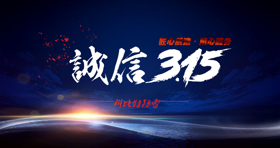 匠心质造、用心服务，澳洲10手机平台-澳洲10(中国)
防雷天天315